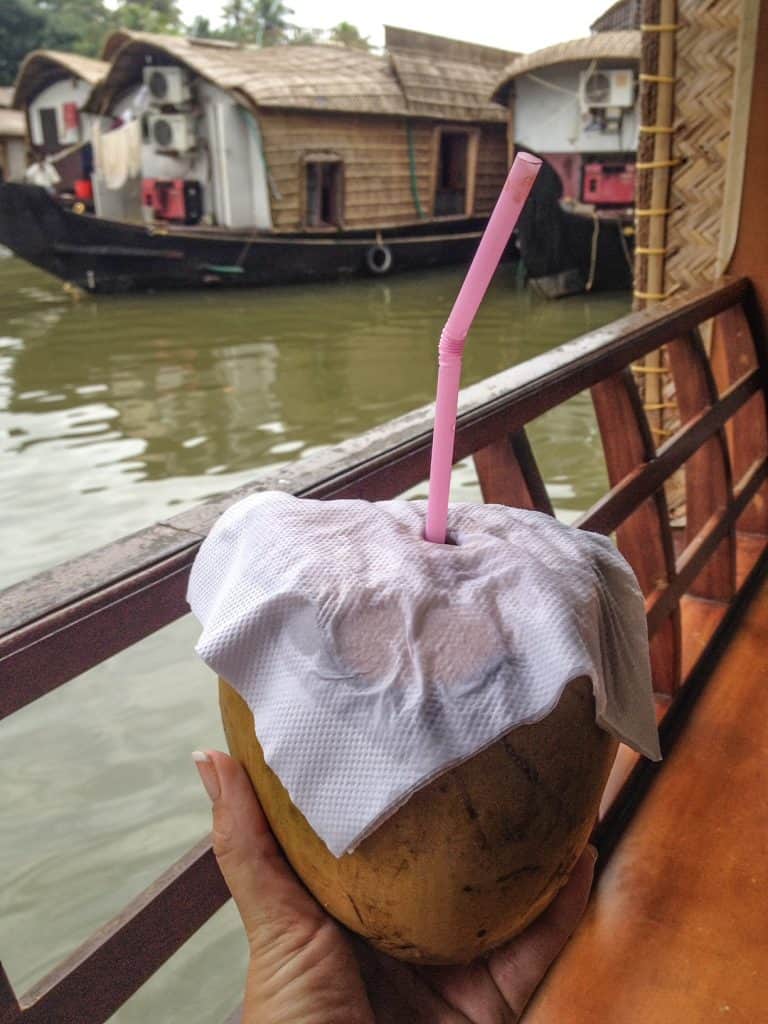 A fresh coconut with a straw to drink the coconut water from and with other houseboats in the background.