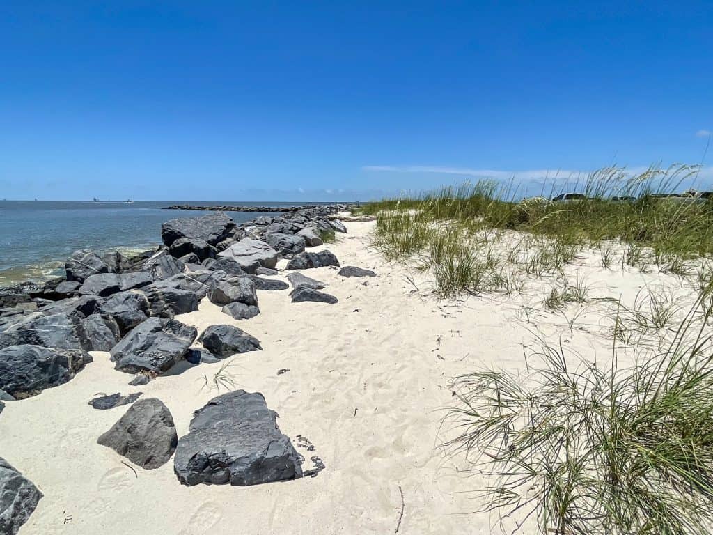 Walking out on a white sand trail along the beach with rocks on one side and grass on the other on Dauphin Island.