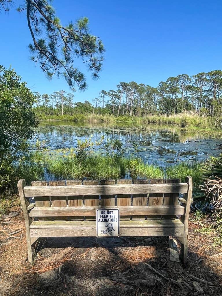 Although this bench along the edge of the lake looks beautiful, the warning sign on it saying stay away from water due to alligators makes me hesitant to sit there!