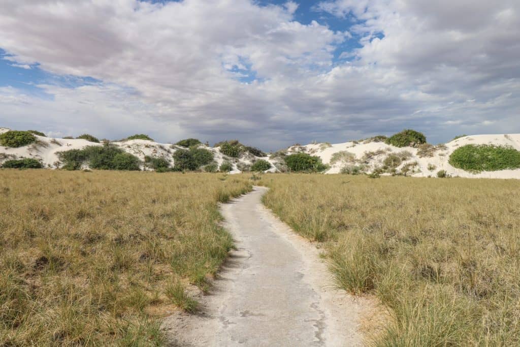 Starting the Dunes Life Nature Trail before it climbs up onto the white sand dunes.