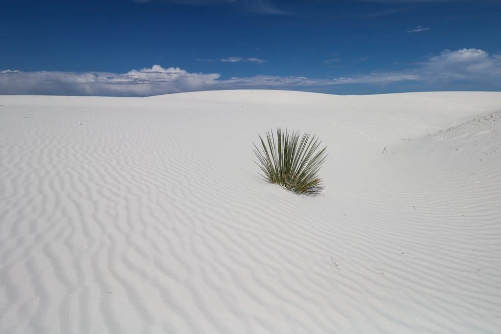 Walking along the ripples of the sand dunes is one of the top things to do in White Sands National Park.