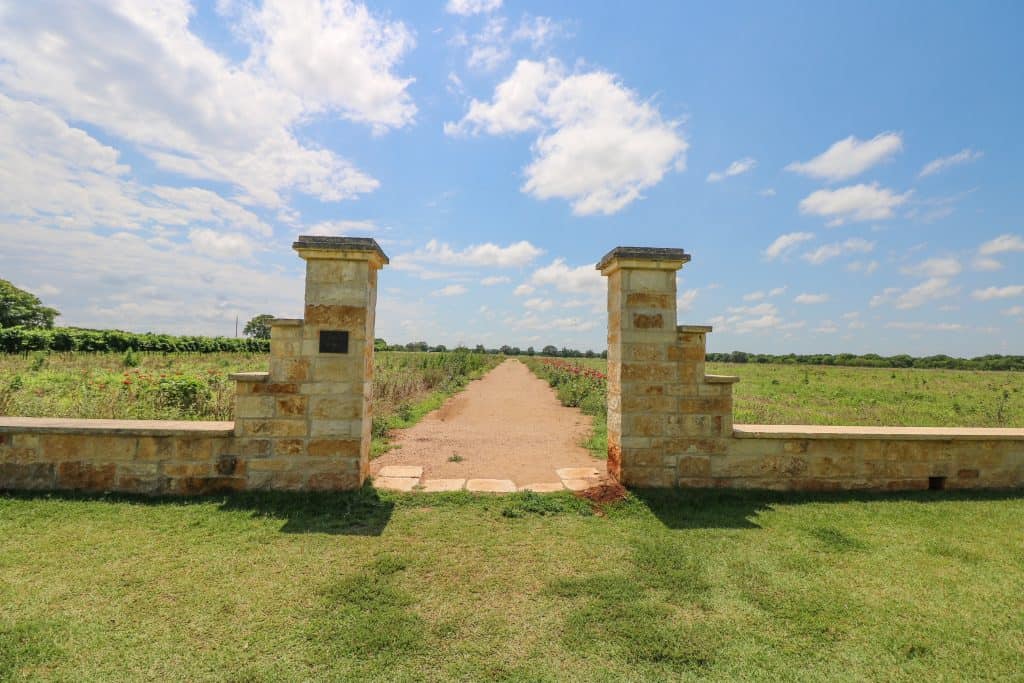 Walking on a beautiful vineyard with stone pillars leading out to flower fields is a top activity to do at the best wineries in Fredericksburg.