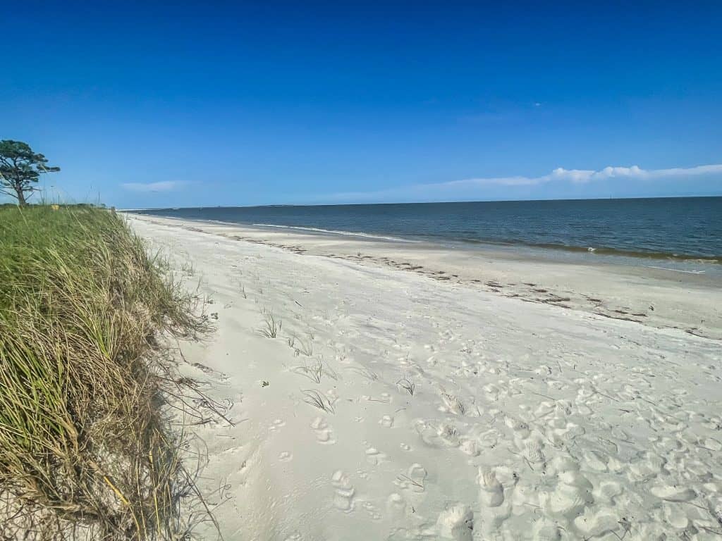 Walking out onto the wide white sand beach from the Audobon Bird Trail on Dauphin Island.