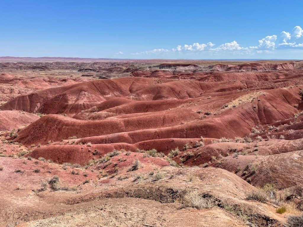 The rolling hills in vibrant hues of red and rust color at Tiponi Point in Petrified Forest.