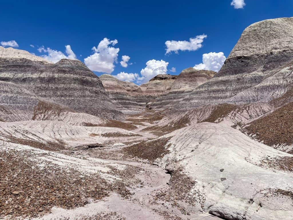 A close view of the Blue Badlands on the Blue Mesa Trail.