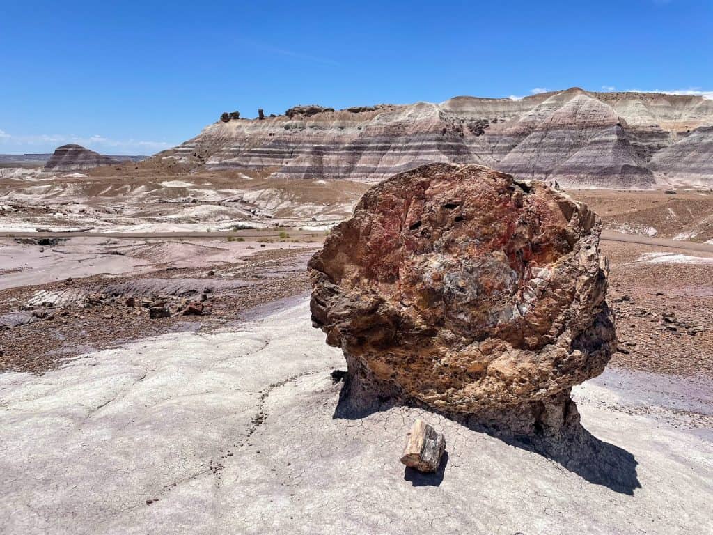 A huge piece of petrified wood along the Blue Mesa Trail in the Petrified Forest.