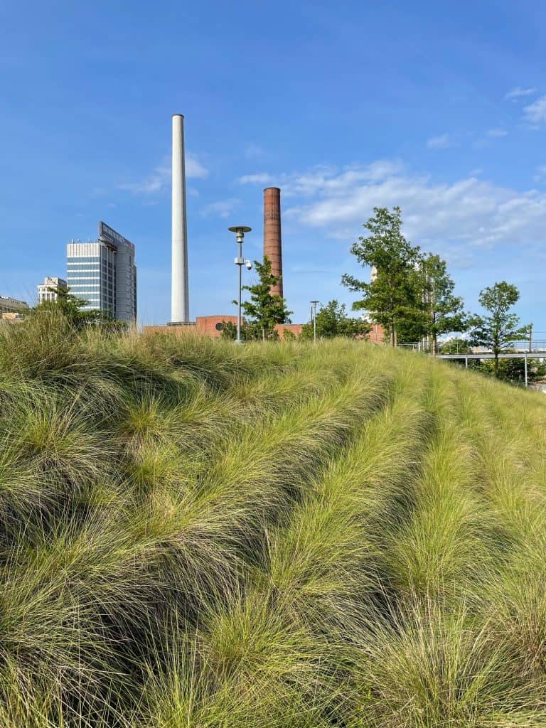 The industrial buildings around Railroad Park are a beautiful contrast to the green space of the park.