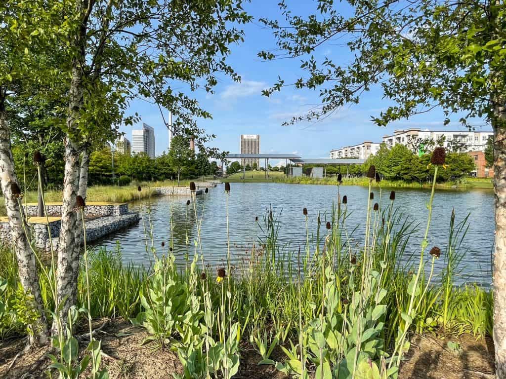 A small pond at Railroad Park in Birmingham with trees and plants and trails along it to walk.