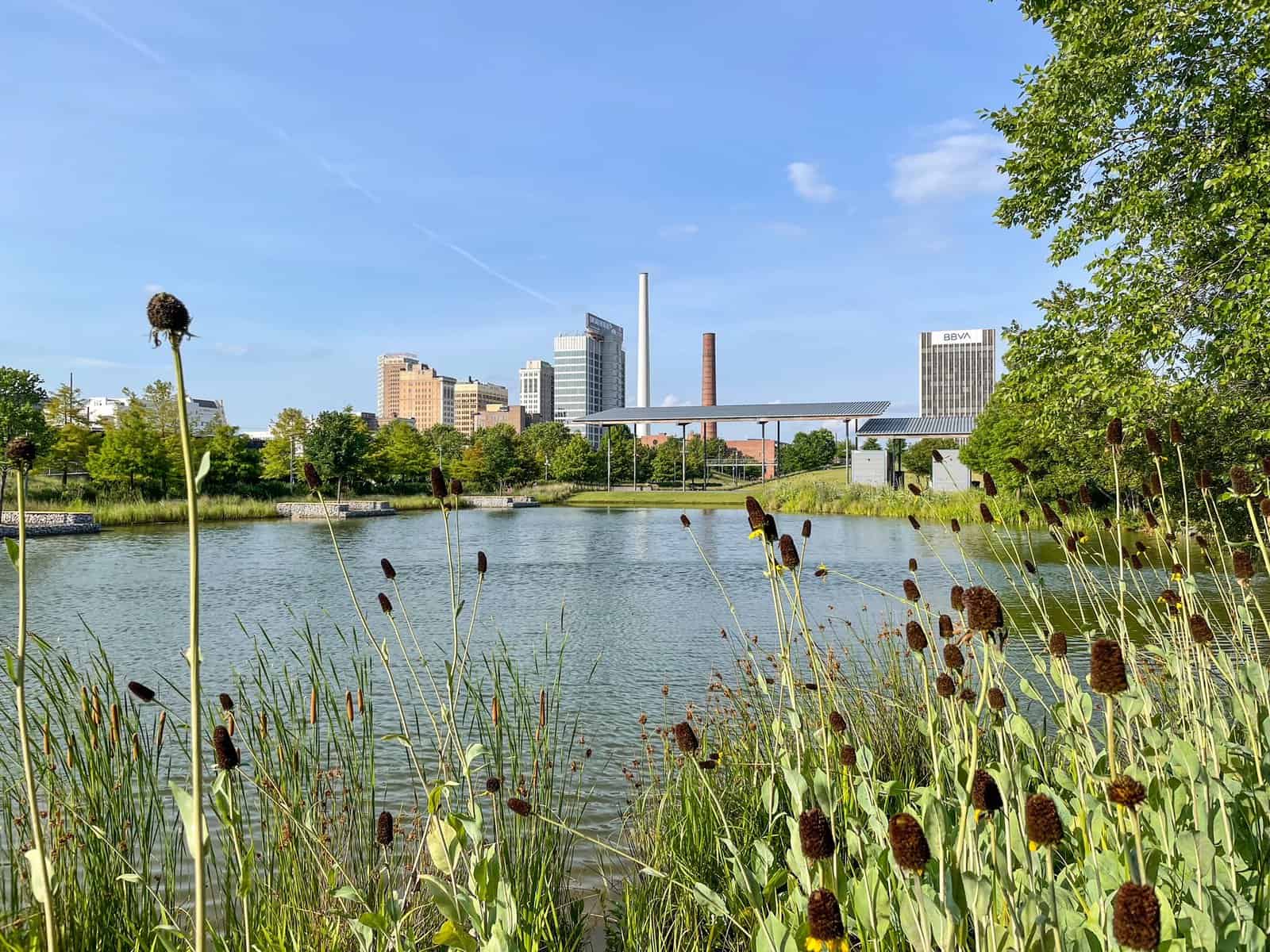 View of a small lake with flowers in the foreground and cities of Birmingham in the background at Railroad Park.