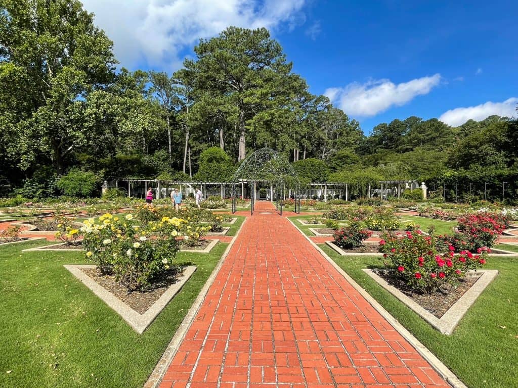 Walking through the rose garden at the Birmingham Botanical Gardens.