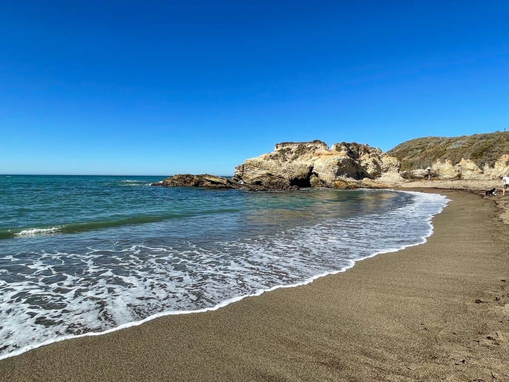 Standing along the shoreline of a golden sand beach near Morro Bay, California.