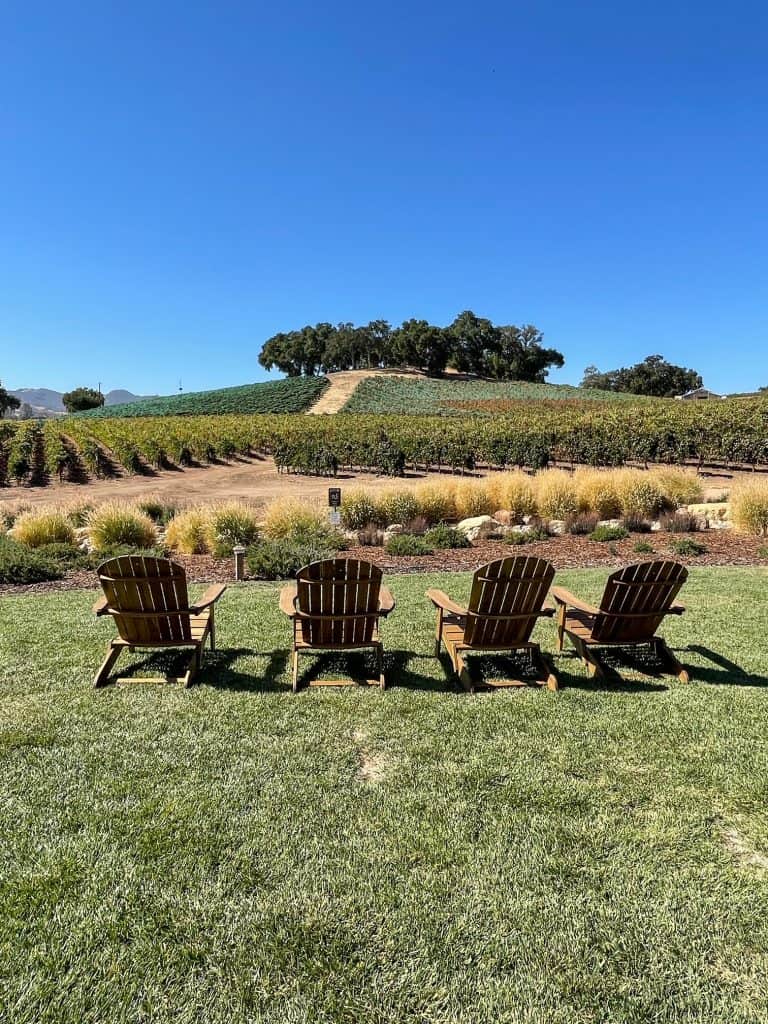Four chairs made of old wine barrels on a patch of grass on the Justin Vineyard with a stunning view.