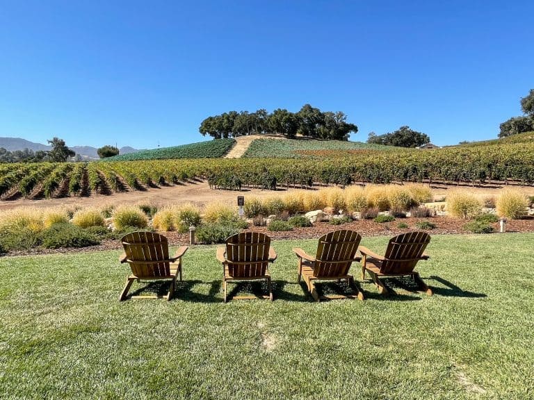 9 Best Wineries In Paso Robles, California To Try On A Weekend Getaway