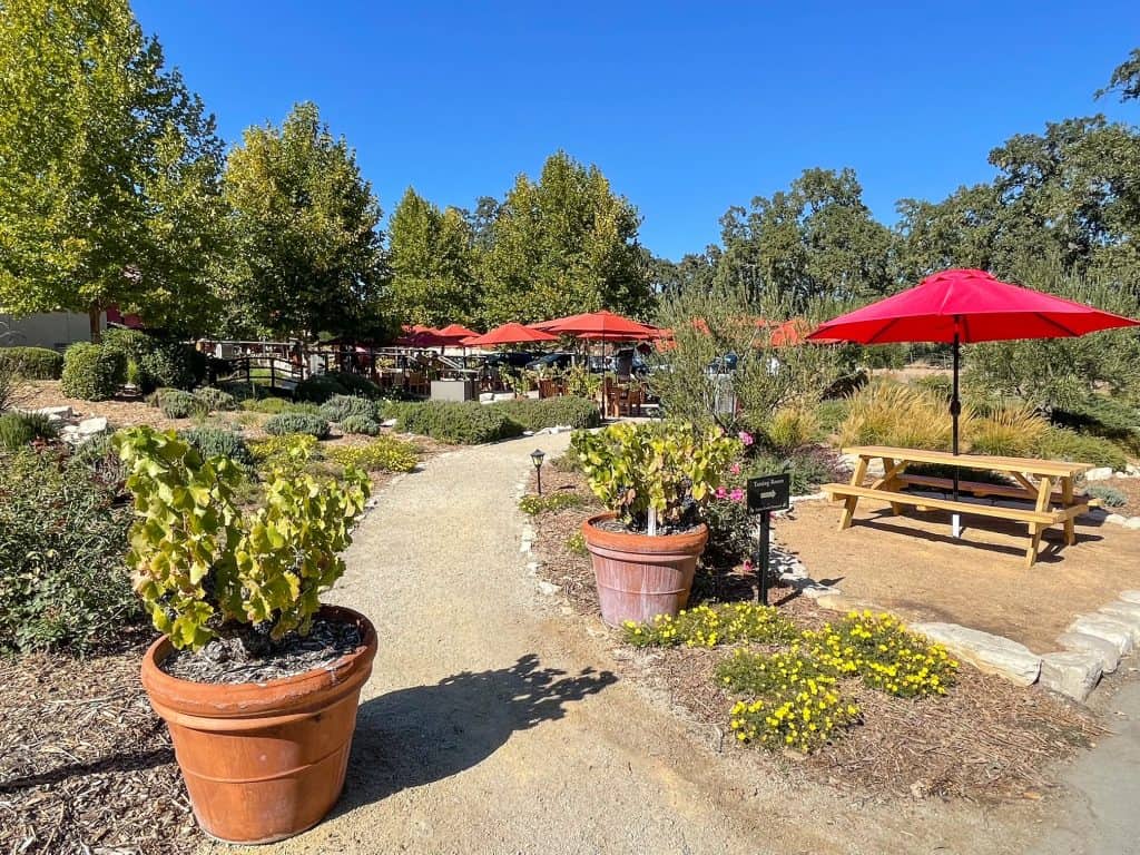 The walkway and outdoor tasting patio at Tablas Creek Vineyard.