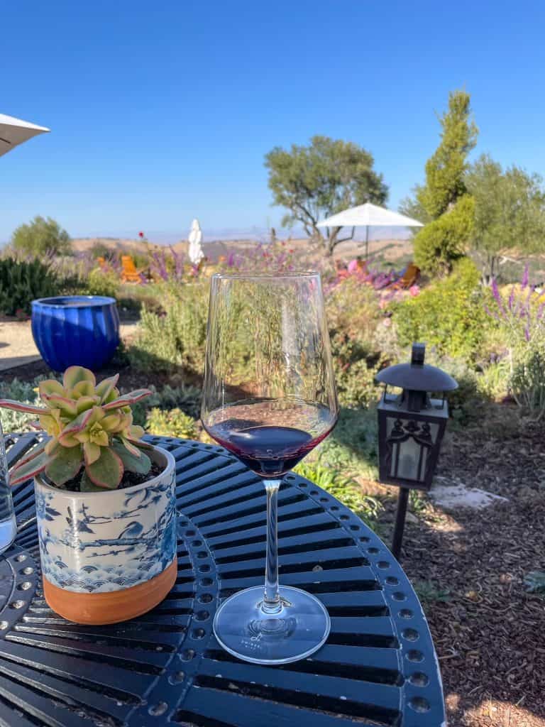 A glass of red wine on a table with a plant and colorful landscape in the background at DAOU Vineyards in Paso Robles.