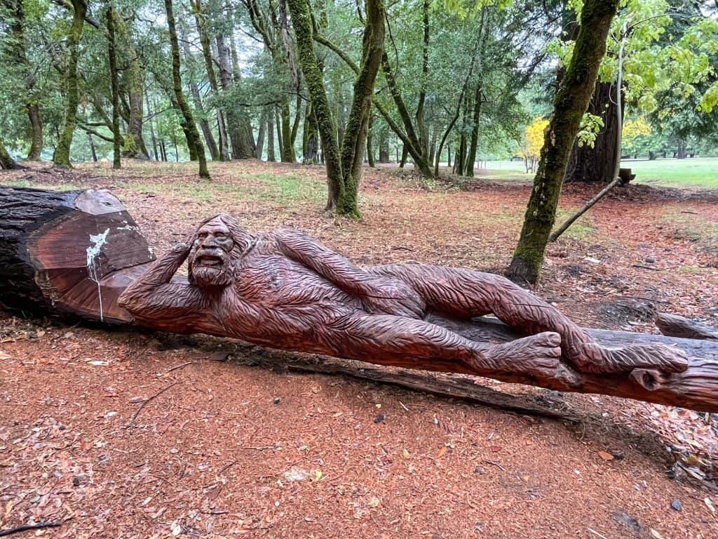 A carving of Bigfoot lying down from a fallen redwood.