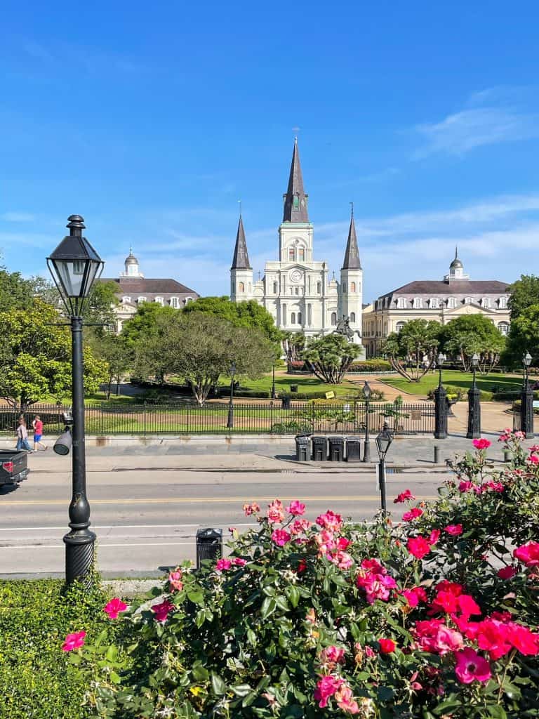 Standing across the street from Jackson Square admiring the beauty of the cathedral, square and pink flower blooms.
