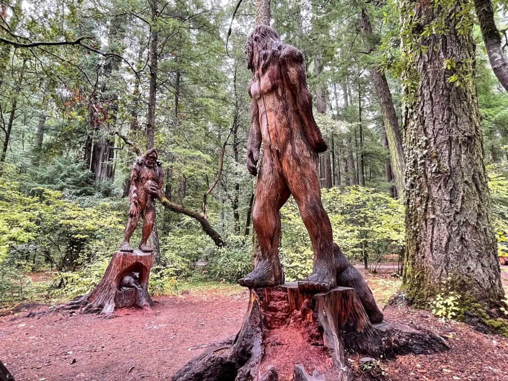 Two large Bigfoot statues carved into old redwood tree stumps next to the Leggett Drive-Thru Tree.