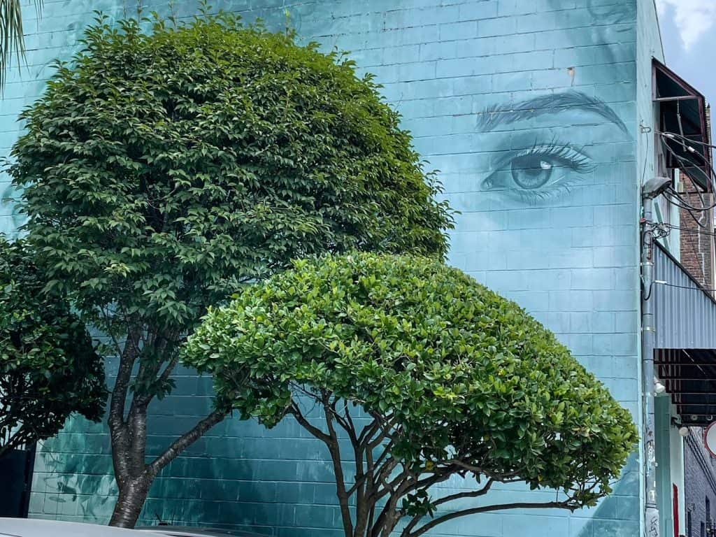 An art mural of a young girl painted behind a tree so that you only see one of her eyes on Frenchmen Street.
