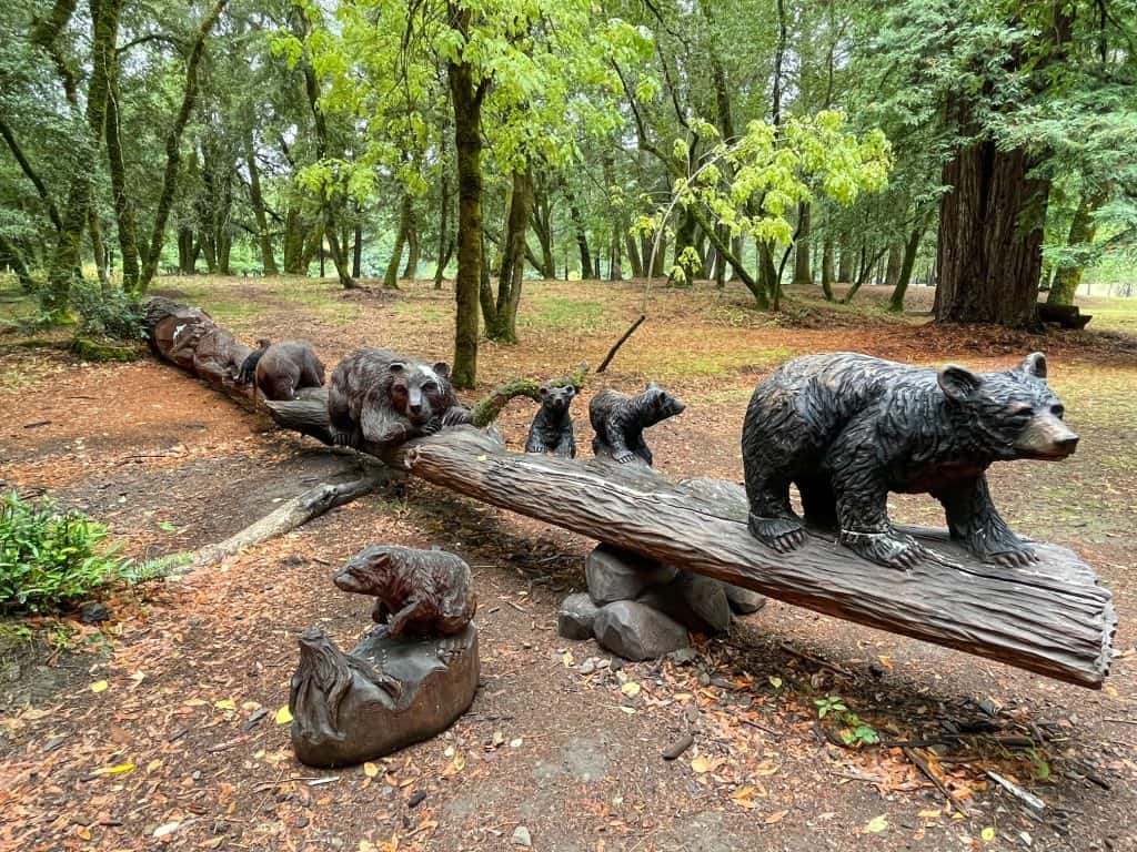 A series of bear carvings out of one redwood fallen log.