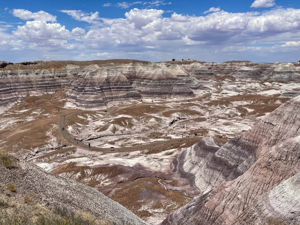 The beautiful Blue Badlands at Petrified Forest National Park in Arizona is another site you can use a park pass at.