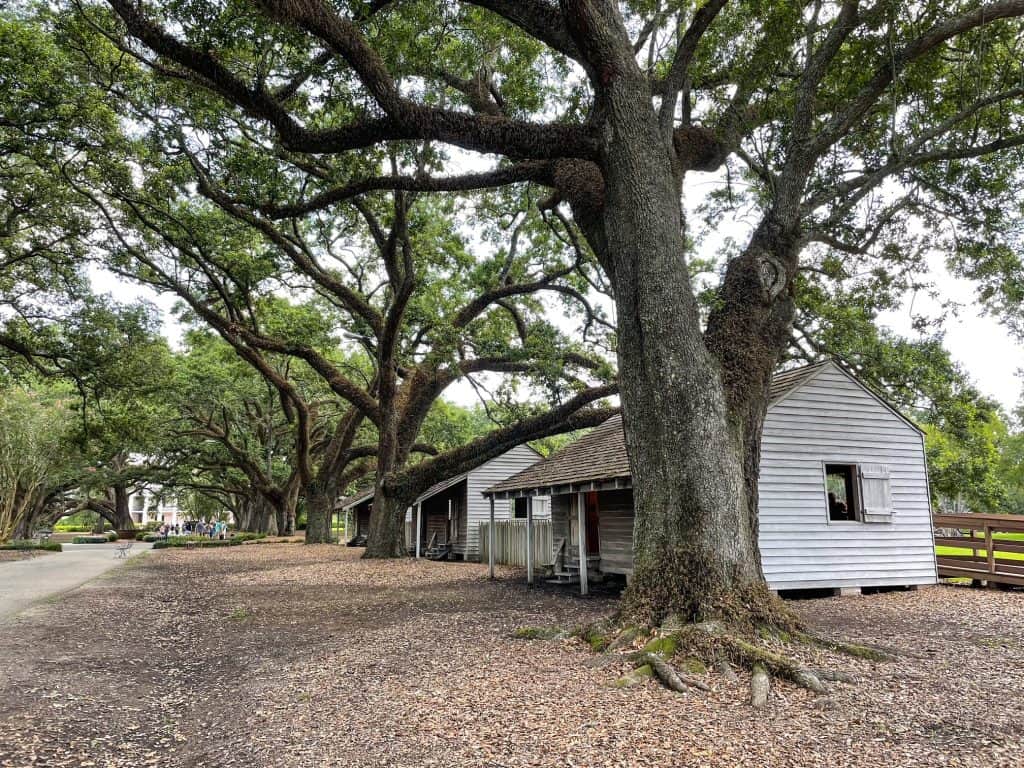 A row of white wooden cabins where slaves lived at Oak Alley Plantation.