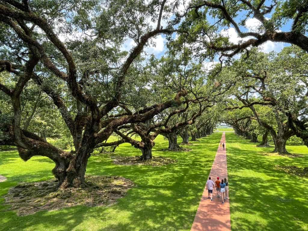 Standing on the balcony of the Oak Alley mansion looking down at people walking through Oak Alley is one of the best plantations near New Orleans to see.
