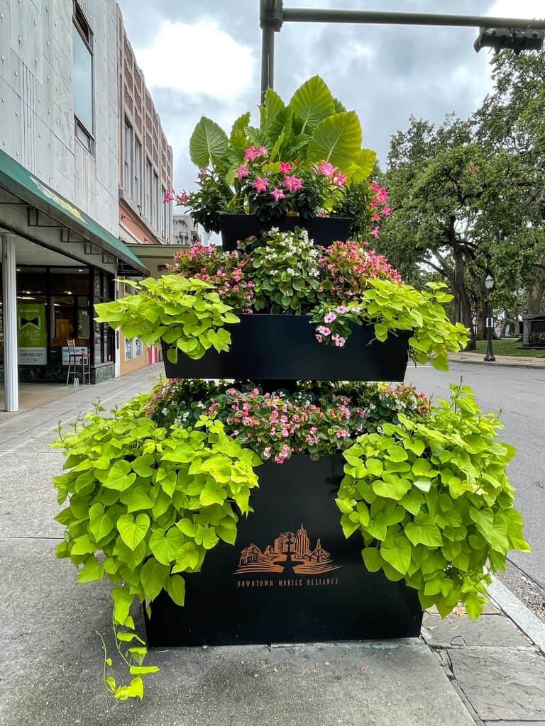 A pretty 3 tiered planter on Dauphin Street with plants and pink flowers.