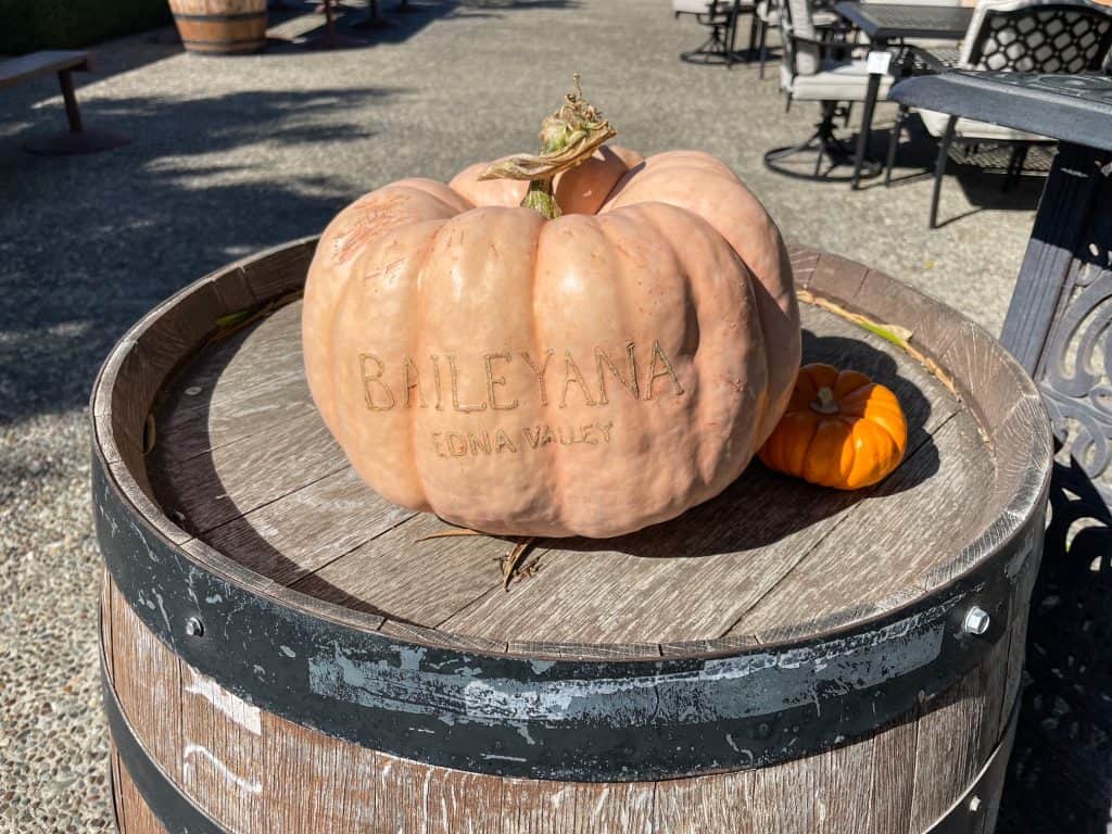 A pretty pale orange pumpkin on top of a wine barrel that has Baileyana etched into it.