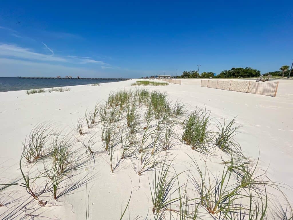 Whimsical patches of grass blowing in the wind on the white sand Gulfport Beach in Mississippi.