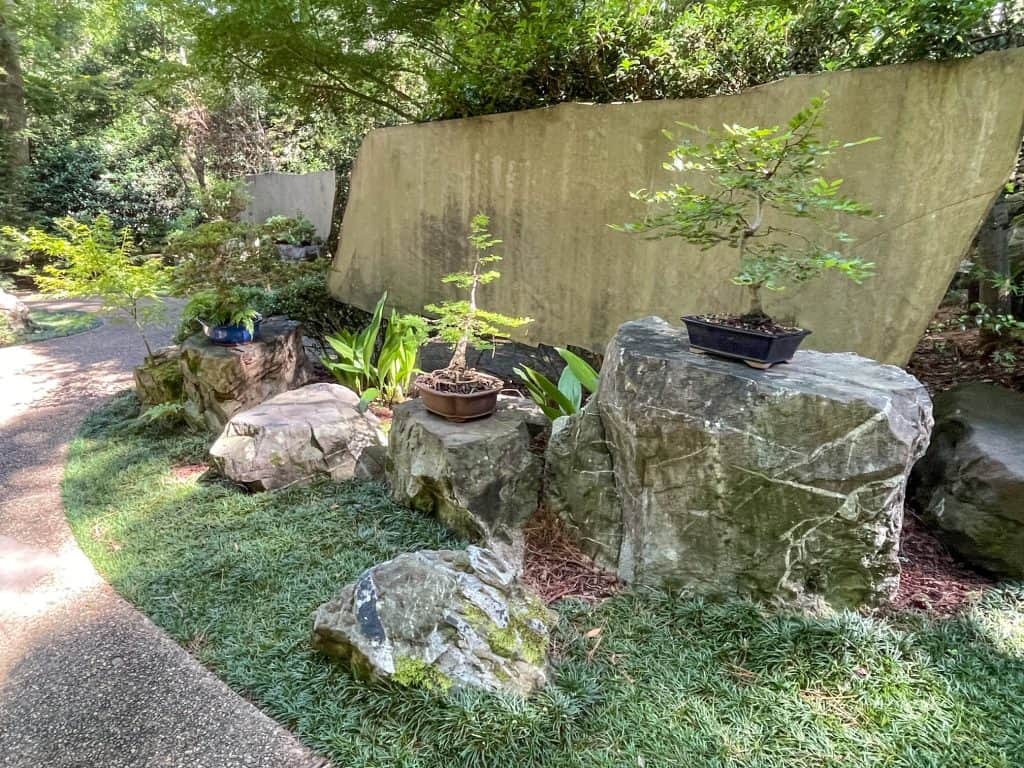 The bonsai tree garden at the beginning of Garden of the Pine Wind.