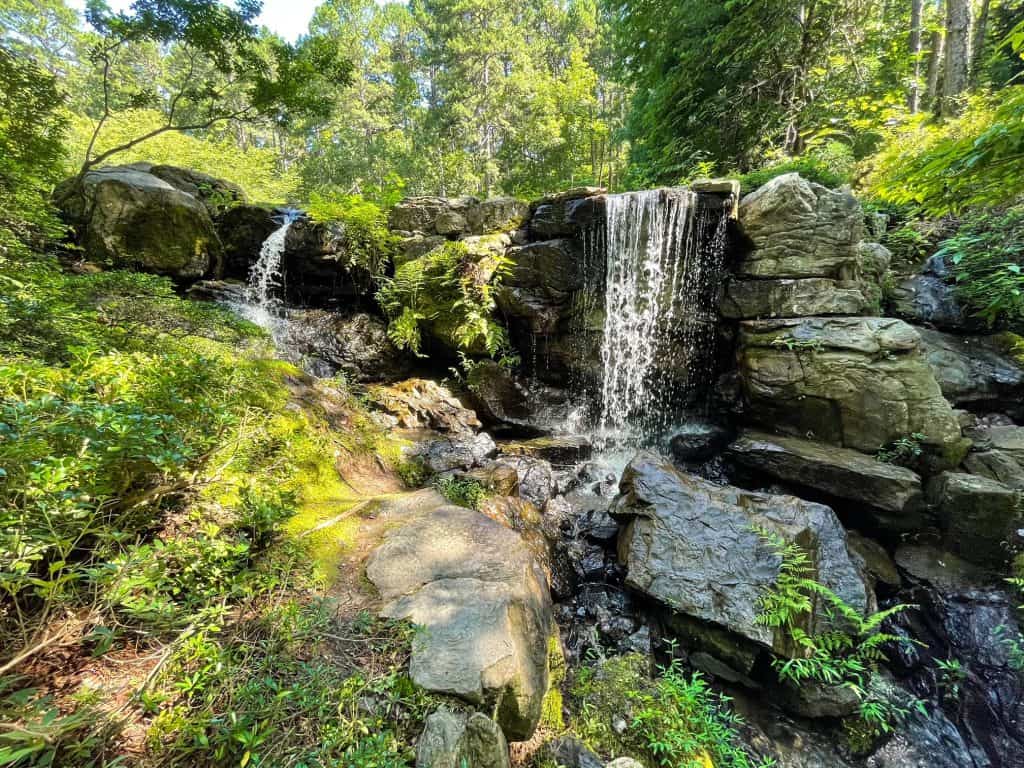 A close-up view of the pretty waterfall cascading over boulders and ferns into the koi pond.