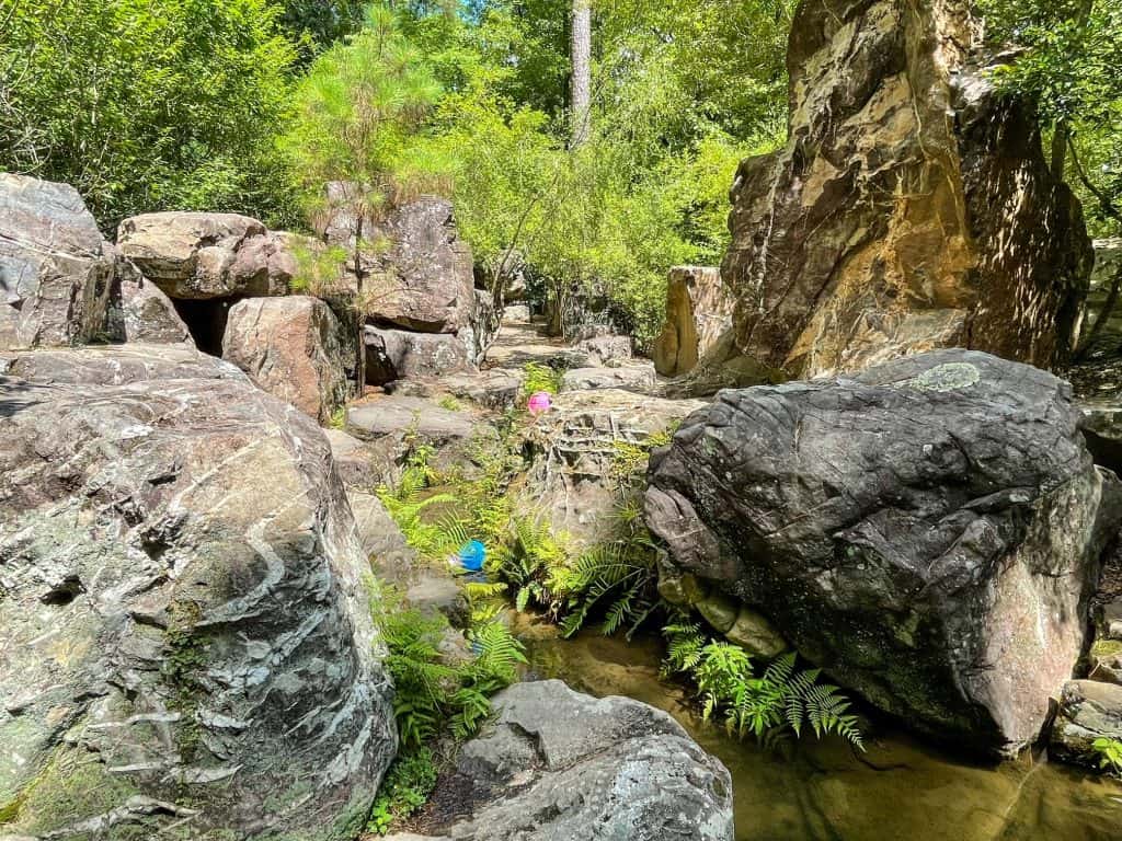 Bright colored beach balls in the creek among boulders and ferns in the Children's Adventure Garden.