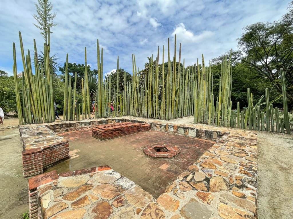 A natural fence made up of tall thin cacti around a stone square at the botanical garden in Oaxaca City.