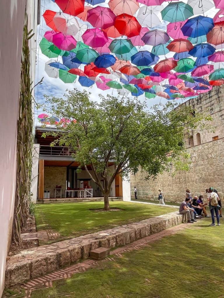 Standing in the outdoor courtyard at Centro Culturas San Pablo with trees and colorful umbrellas hanging overhead.