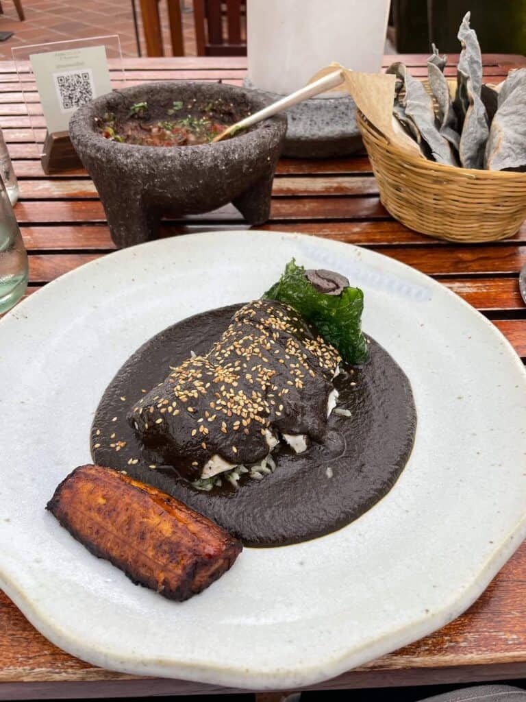 Turkey covered in a very dark black mole sauce with sesame seeds on it and a sweet plantain on the side at Casa Oaxaca restaurant in Oaxaca City, Mexico.