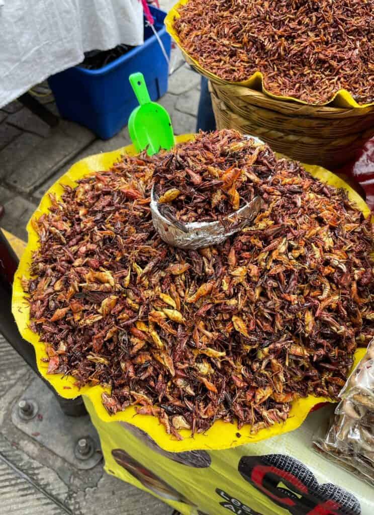 A heaping pile of reddish brown chapulines (grasshoppers) being sold from a street vendor.