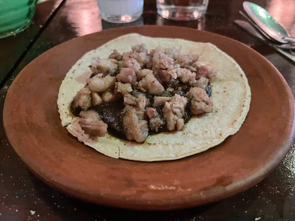 A small taco on a plate filled with delicious pork and a mole sauce in a restaurant in Oaxaca City, Mexico.