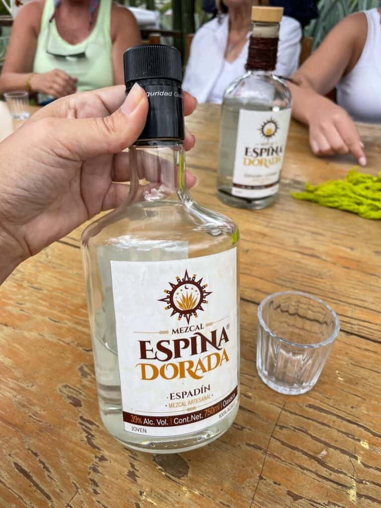 A bottle of mezcal with shot glasses filled with it during a mezcal tasting in Oaxaca.