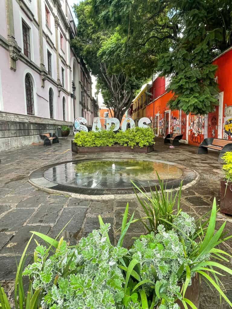 Alley of the Frogs or Sapos neighborhood with plants, large white letters that spell SAPOS and colorful red building along it.