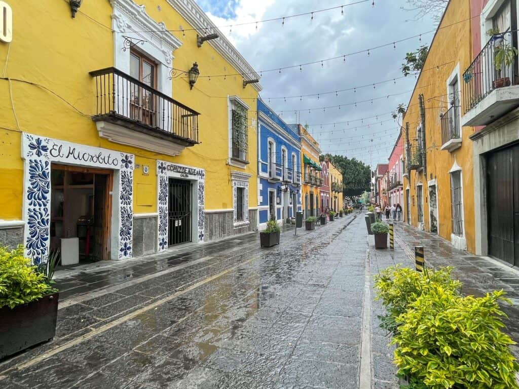 Walking down the charming Alley of the Frogs with bright colored buildings, planters along the side and hanging lights above.