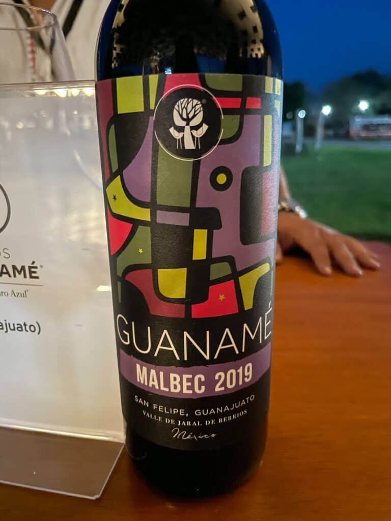 A vibrant colored abstract shapes wine label for a Malbec from Guaname winery near San Miguel de Allende.