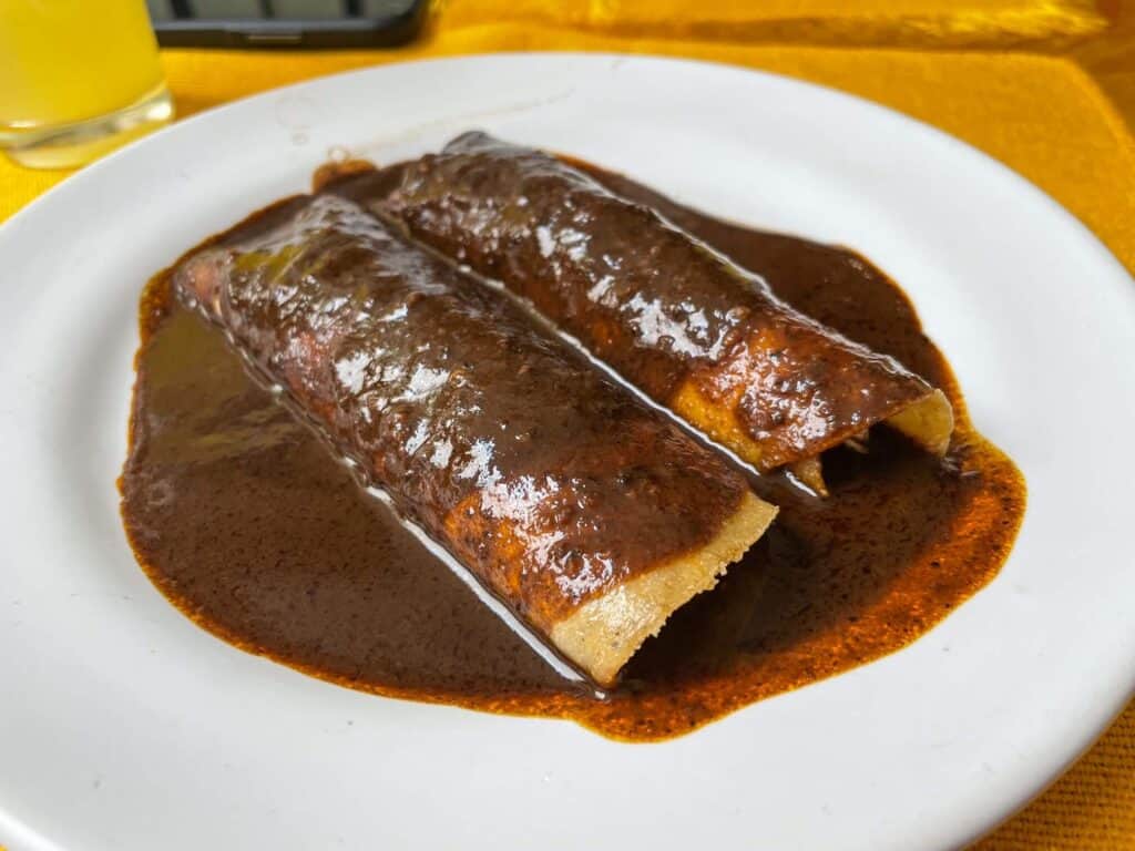 A plate with two enchiladas covered in a dark brown mole sauce on a food tour in San Miguel de Allende, Mexico.
