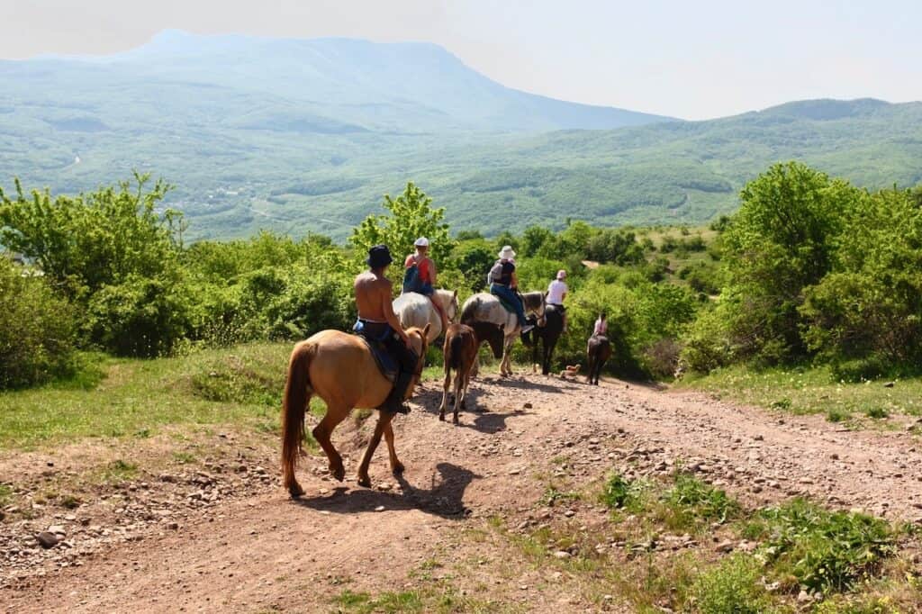 A group a people on horseback on a guided tour on a dirt path and shrubs bordering it.