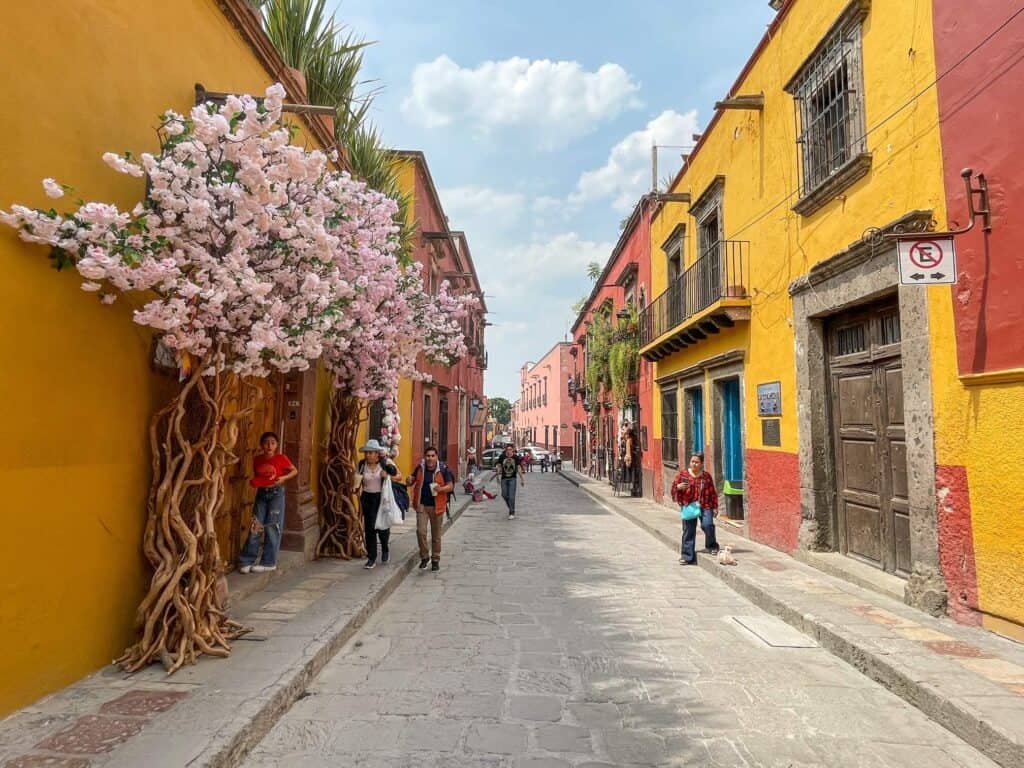 Walking along a colorful and charming cobblestoned street in San Miguel de Allende with a huge bouquet of pink flowers over a doorway.