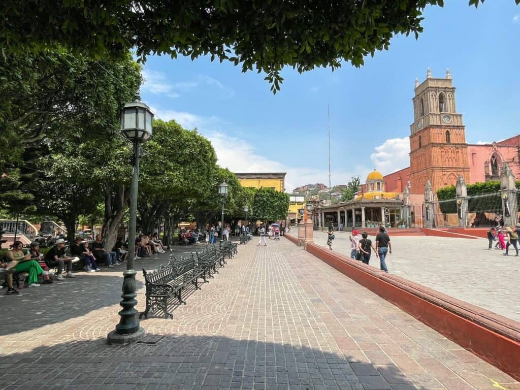 Walking the outer edge of El Jardin with a thick row of trees, benches underneath, and lamp lights in the center of San Miguel de Allende.