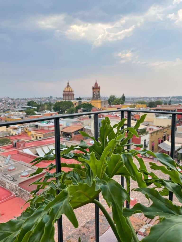 Church towers in the distance with a pretty green plant in the foreground at a rooftop bar in San Miguel de Allende, Mexico.