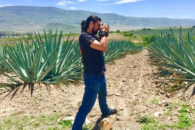 Gastronomic Experience Mezcal Tour_photo from Viator