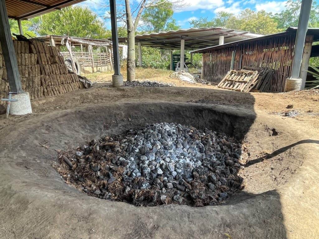 A large pit in the ground with agave roasting over coals and rocks and covered with agave fibers.
