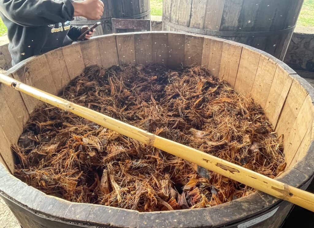 A huge wooden open barrel filled with reddish brown agave fibers to start the fermentation process in making of mezcal.